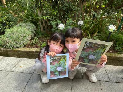 2024-2025 K3參觀香港動植物公園