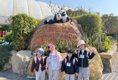 海洋公園-尋找熊貓之旅正式開始！